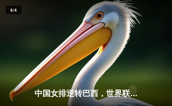 中国女排逆转巴西，世界联赛总决赛开门红 - 4